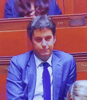 Attal GIF by systaime