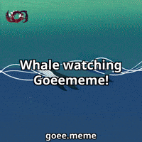Market Watching GIF by Goeememe