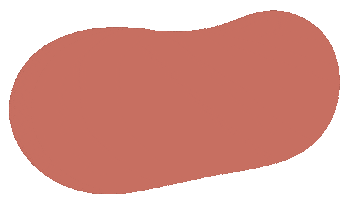 Color Sticker