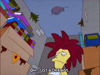 season 12 episode 13 GIF