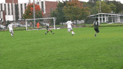 Tgoe Iwu GIF by iwusports