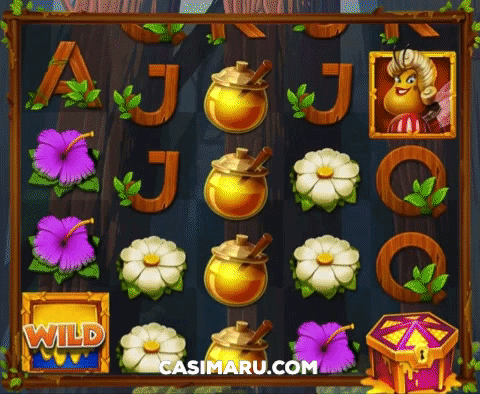 CASIMARUCASINO giphygifmaker GIF