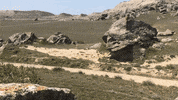 ver formula 1 GIF by Red Bull Racing