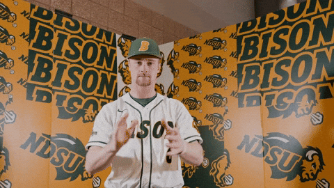 Baseball Bison GIF by NDSU Athletics