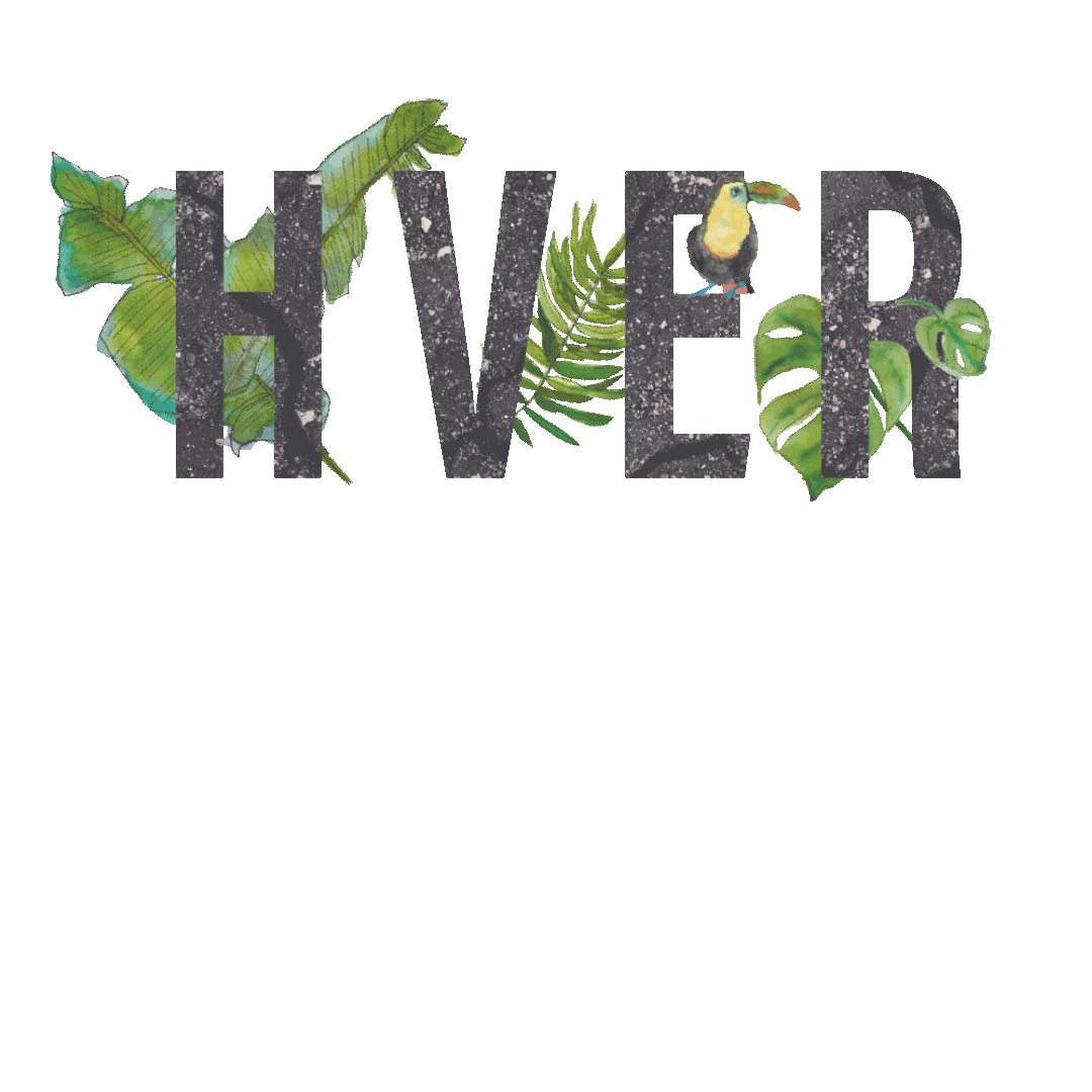 Hawkonkon giphyupload dag hverdag tenoase Sticker