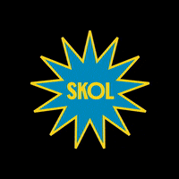 Skolzinha skol GIF