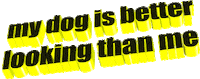 sad dog Sticker by AnimatedText