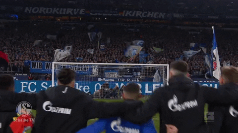 Happy Football GIF by FC Schalke 04