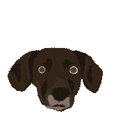 Happy Dog Sticker