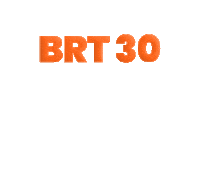 BRUTOBRASIL brt bruto carregadeira maquina pesada Sticker