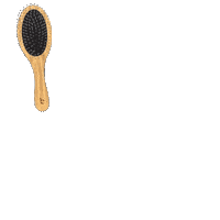 Brush Clean Beauty Sticker by Beauty by Earth