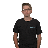 Pickleball Sticker by APP