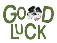 Cat Good Luck Sticker