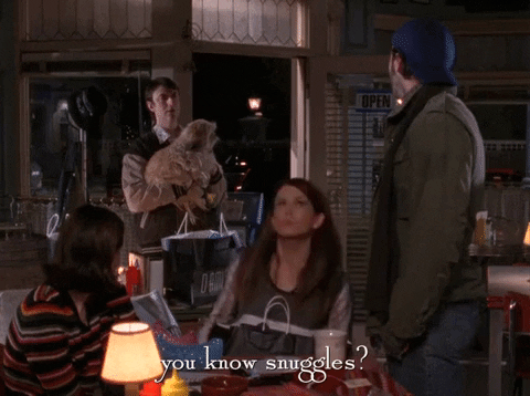 season 4 netflix GIF by Gilmore Girls 