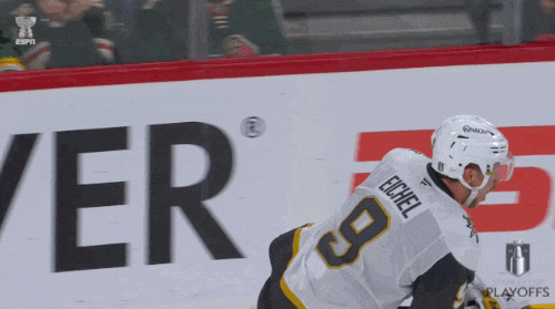 Happy Stanley Cup Playoffs GIF by NHL