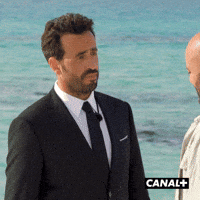 Fun What GIF by CANAL+