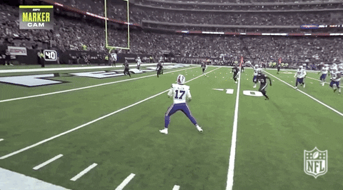 National Football League GIF by NFL