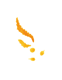 Soy Beans Sticker