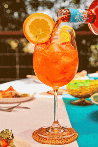 Cheers Refreshing GIF by Spritz Del Conte