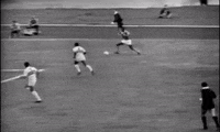 sao paulo edu bala GIF by SE Palmeiras