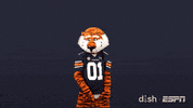 College Football Sport GIF by DISH