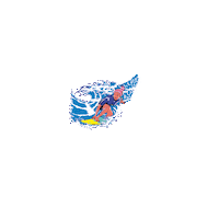 TamoJuntoBB surf tamo junto arena das dunas festival bb Sticker