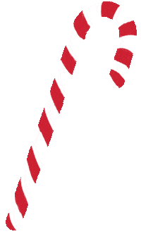 Happy New Zealand Sticker by arisecreative