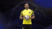 Captain Keeper GIF by Carson-Newman Athletics