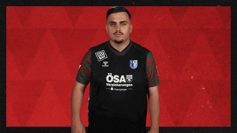 Fc Magdeburg Football GIF by Bundesliga