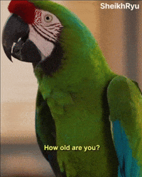 How Old Are You Age GIF