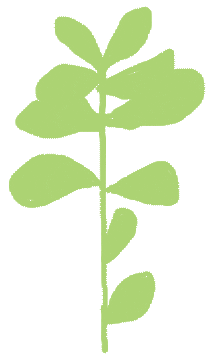 Art_by_Nerea happy nature flower green Sticker