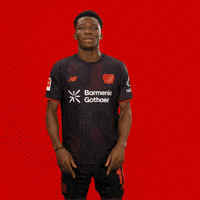 Bayer 04 Bundesliga GIF by Bayer 04 Leverkusen