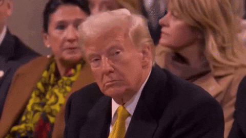 noesanchez291e  GIF