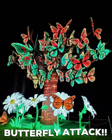 Danimaniac giphygifmaker butterfly attack colorful night lights GIF