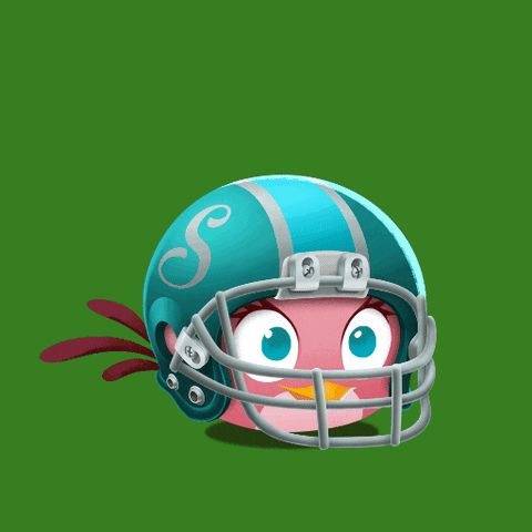 Football Nfl GIF by Angry Birds