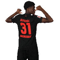 Bayer 04 Football Sticker by Bayer 04 Leverkusen