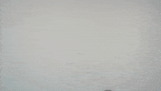 ommhdm i bet euro ten GIF
