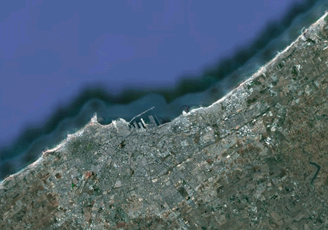 urban GIF