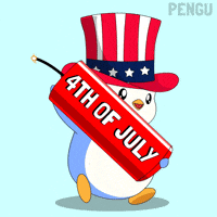 United States Penguin GIF by Pudgy Penguins