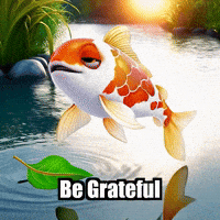 Wisdom Enlightenment GIF by TheConfishius