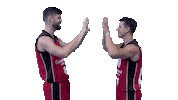 Liga Endesa Win Sticker by ACB