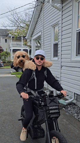 WMPeyewear giphyupload dog sunglasses pet GIF