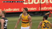 adelaidecrows goal reactions celebrations adelaide crows GIF