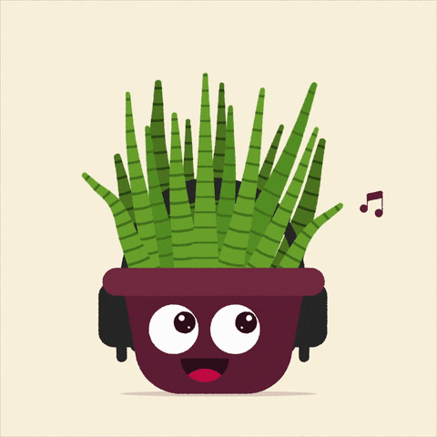 BandiOnline giphyupload animation plants leaves GIF