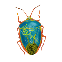 New Orleans Art Sticker by Ashley Longshore