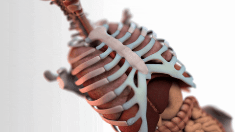 franciscosanchezcazeres giphyupload GIF