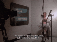 Miami Vice Pet GIF by Goldmaster