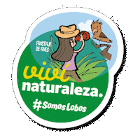 MunicipiodeLobos lobos somoslobos turismolobos municipiolobos Sticker