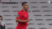 Sl Benfica Slbgif GIF by Sport Lisboa e Benfica