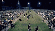GIF by Supercompressor
